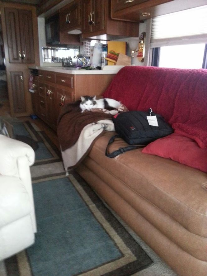 10423863_10202969431104430_7287695989811538362_n