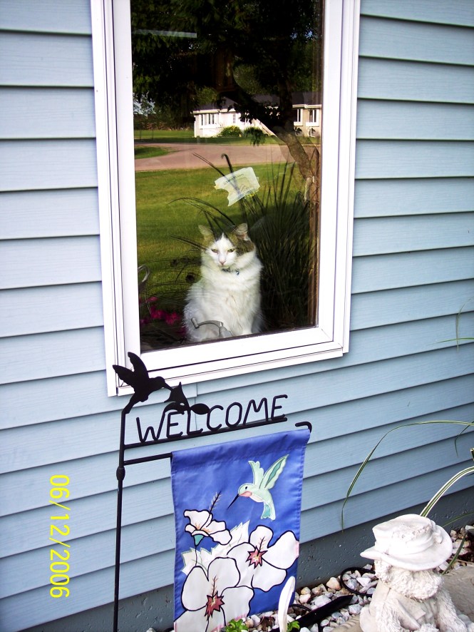 Cassidy,Antonio, Camerons 8th Birthday 035
