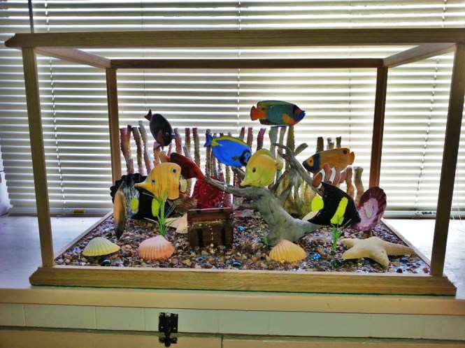 10804992_10203012696986050_2065689978_n