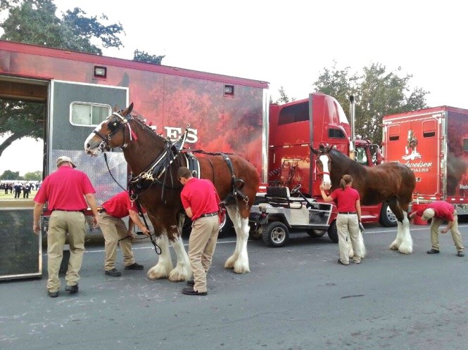 10822177_10203038345547248_646742124_n