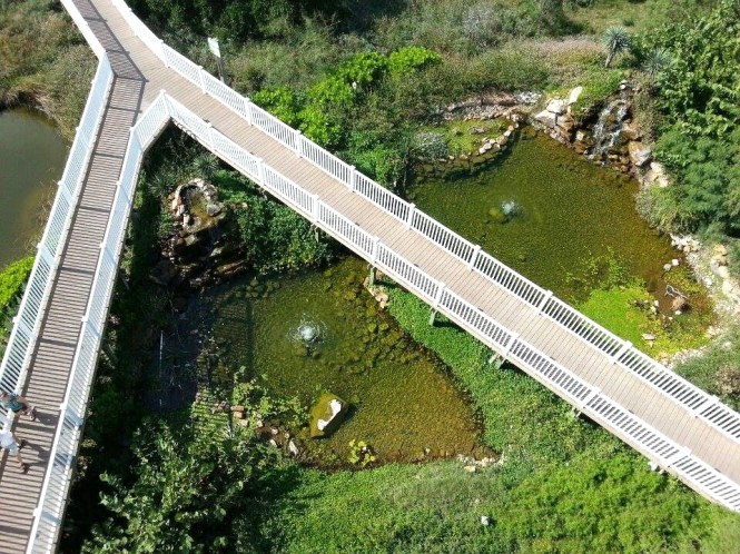 10841522_10203076678025536_445482398_n