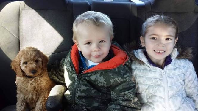 10644927_10203636045249367_8864642436940297355_n