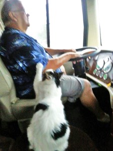 11079143_10203887494855450_2122556921_n