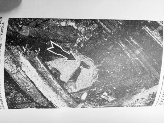 11186434_10204031888345197_1747154057_n