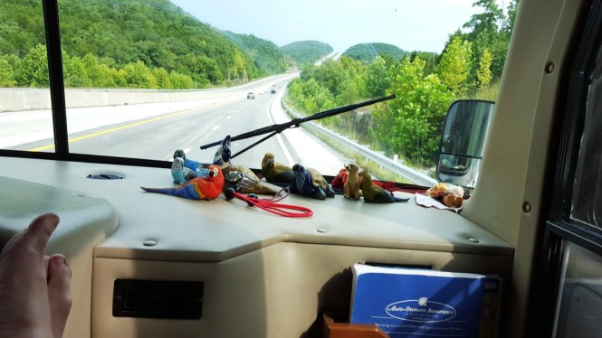 11890604_10204613958816595_376114612_o