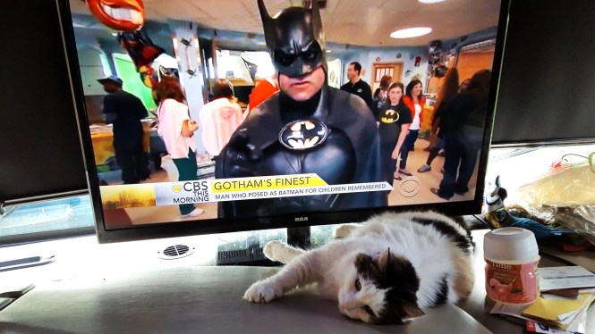 11900513_10204592245193768_2040006237_o