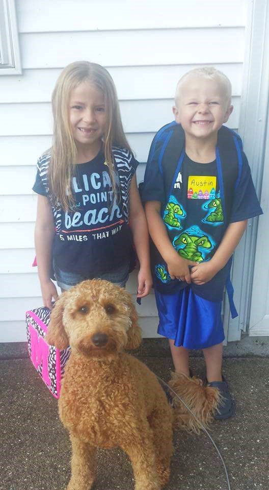 11911636_10204597249198865_339140290_n