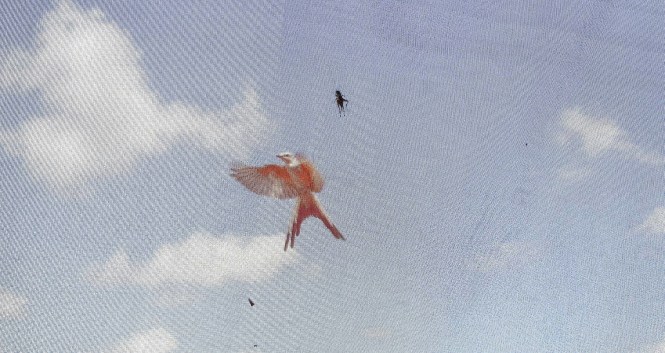 11939237_10204637415402995_170199354_o