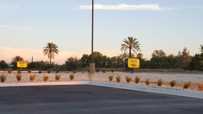 11942456_10204627195387501_434072627_o