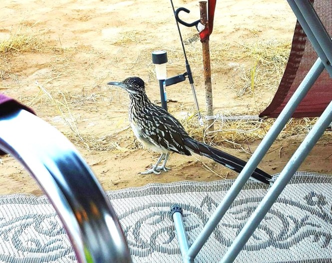 10822245_10204670086259746_657329516_n