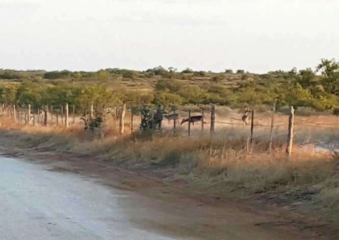 11935195_10204678171981884_997227839_n