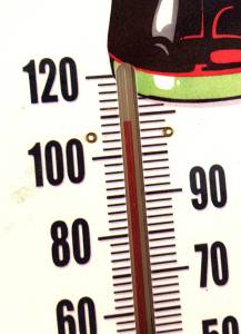 11940208_10204677552526398_522666550_n