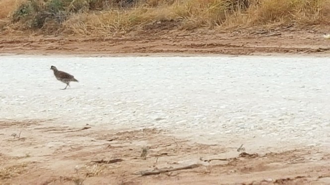 11984447_10204725804052656_150717856_o