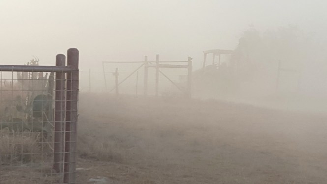 11990294_10204667765761735_1009860166_o