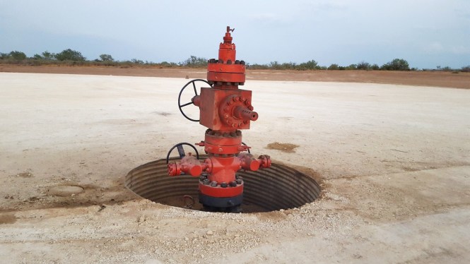 11993072_10204693132835896_603873865_o