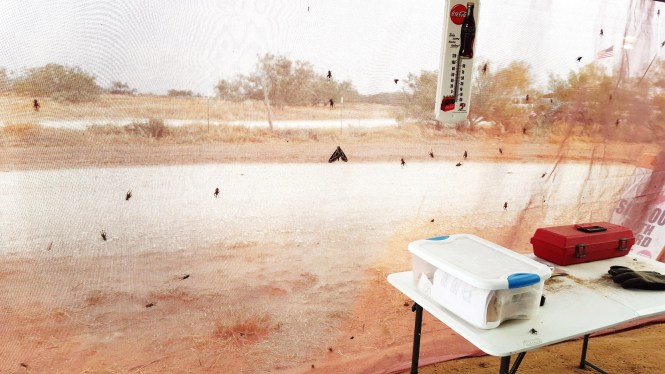 11996497_10204732193932399_1912564480_o