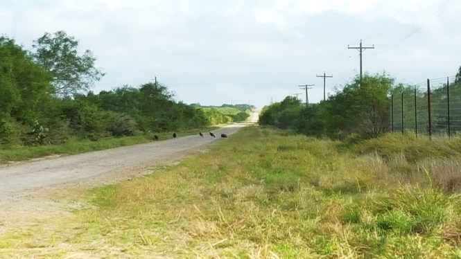 12020653_10204777819993022_268862828_o