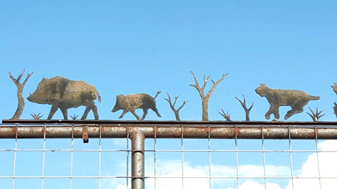 12020740_10204766343266111_1078000870_o