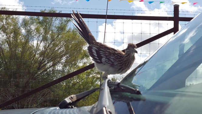 12011660_10204764697864977_1474068742_o