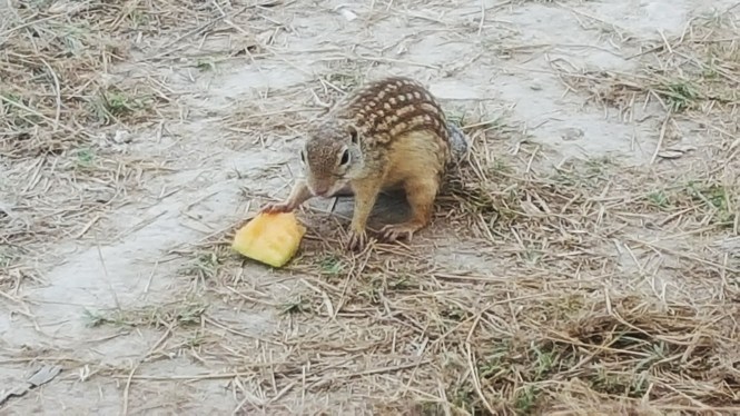 12055222_10204823953346327_896261605_o