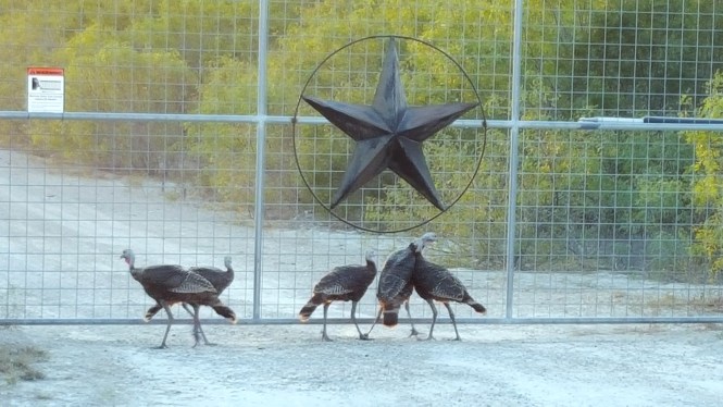 12076720_10204851262749045_46821205_o