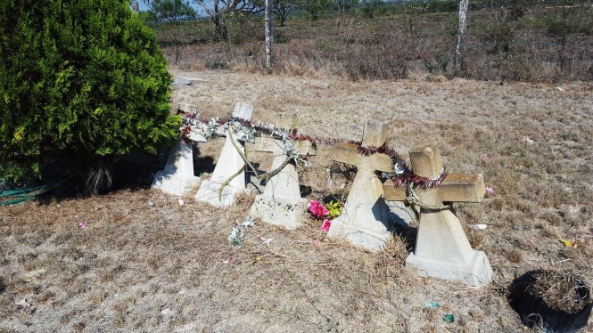 12162533_10204894696954873_2033507357_o