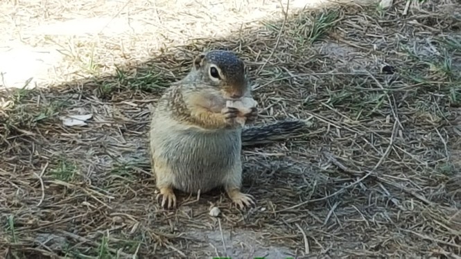 12168683_10204920686524596_462775532_o