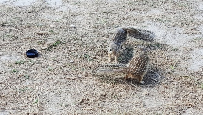 12171621_10204929464984052_655978373_o