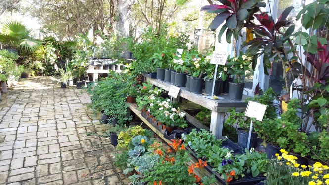 12227882_10205027675519254_890295176_o