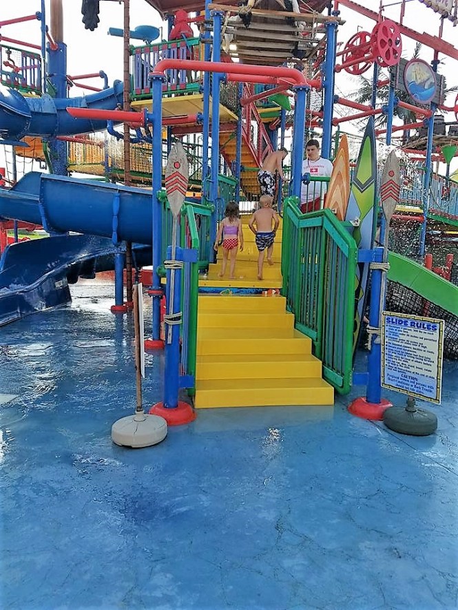 13508849_10208846245465965_1879134862806932875_n