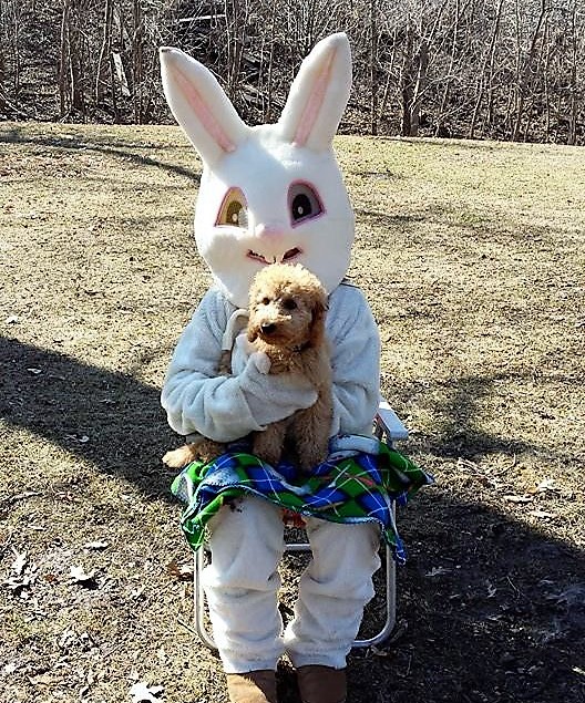 11081083_10153077037428280_4485729696862942791_n