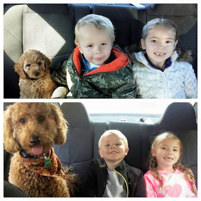 12308674_10205513091732261_7928648137573211489_n