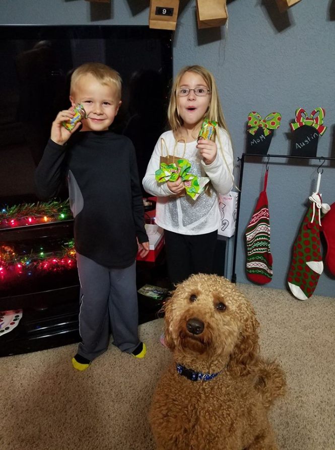 15541460_10208208726881455_6155716242513000211_n