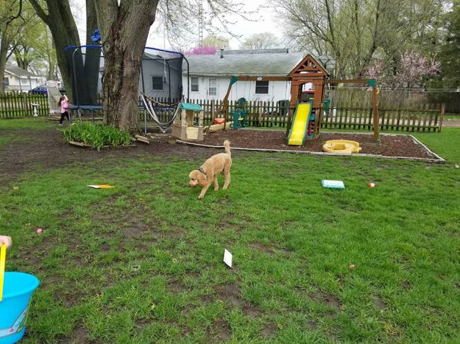 17952843_10209180584137279_8964095378149513719_n