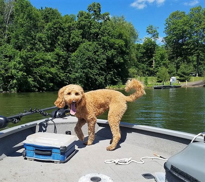 19399246_10209747822717889_3273116521346501549_n