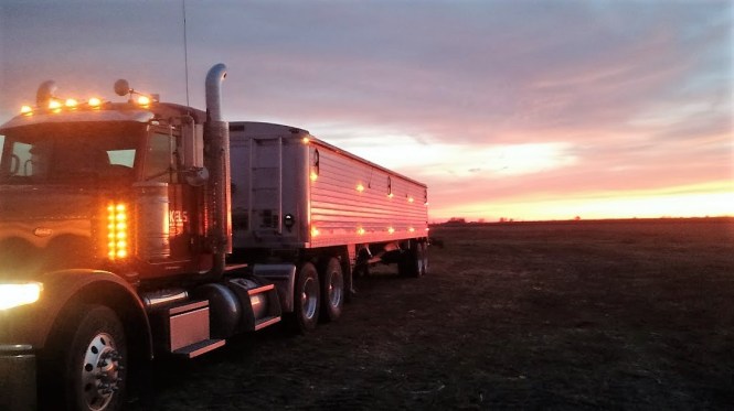 IMG_20171127_165339575