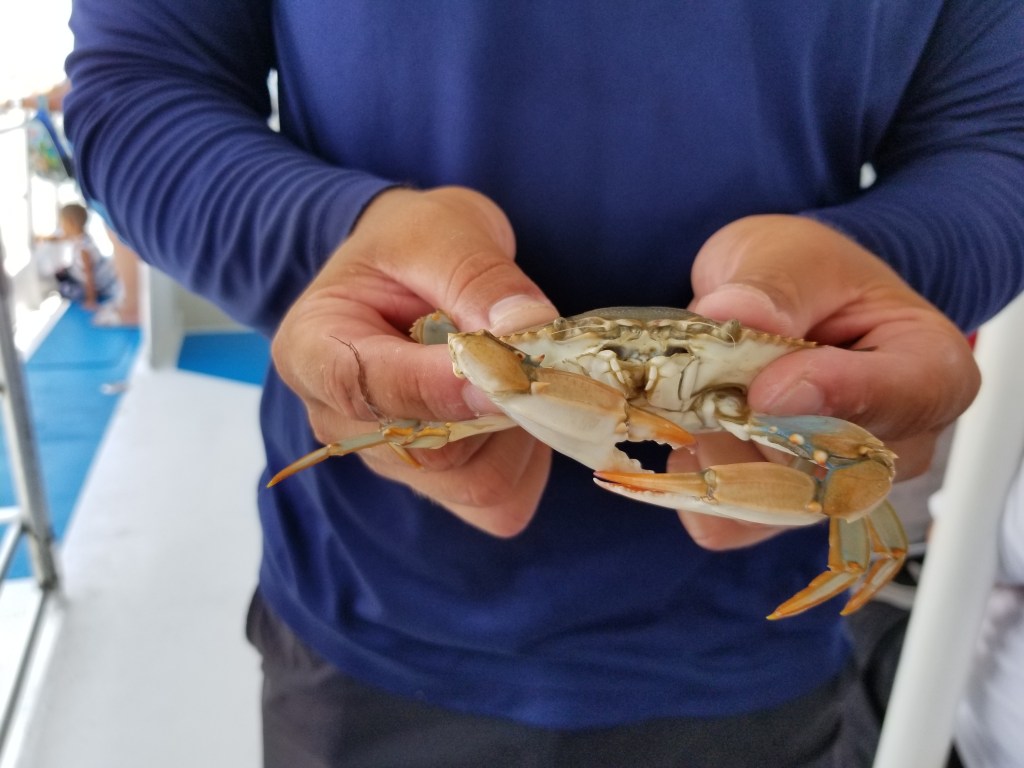 This image has an empty alt attribute; its file name is wp-15981306531482219312148504039904.jpg